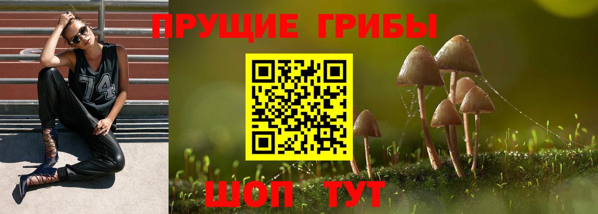 продажа наркотиков  Вход с VPN  Волжск  Галлюциногенные грибы прущие грибы  Галлюциногенные грибы мицелий 