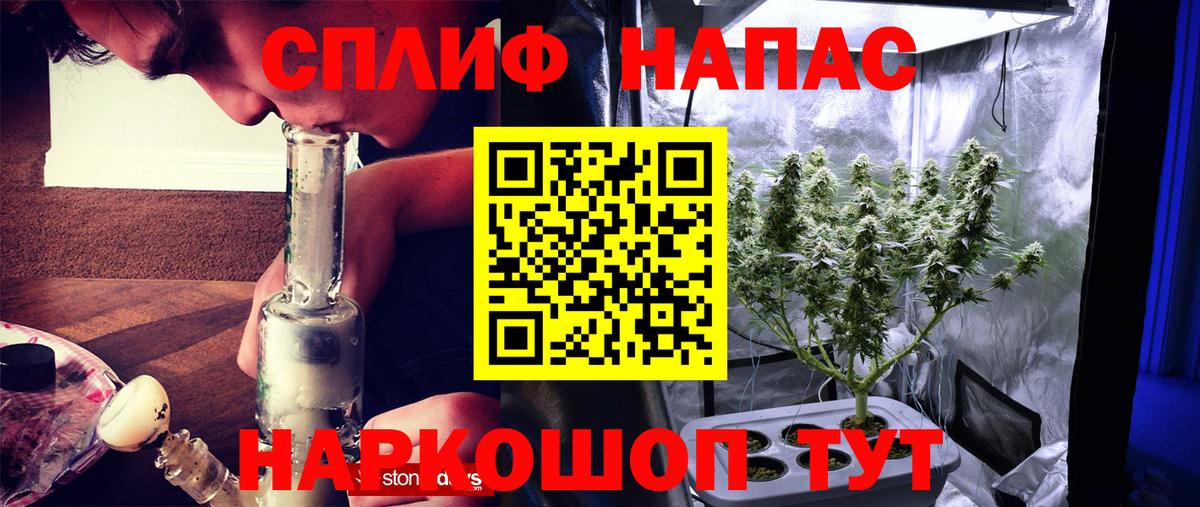 Канабис планчик  Конопля Amnesia  Волжск  Вход с VPN  Бошки Шишки план 